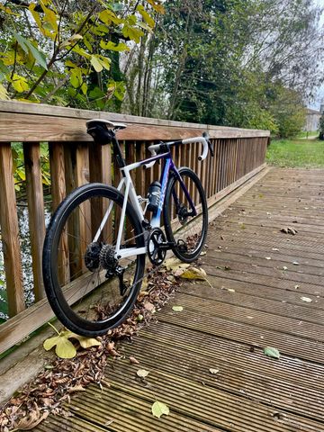 Used Basso Diamante Frameset 2025 Road & Gravel