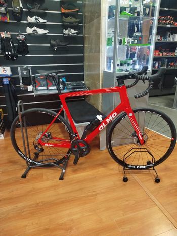 Olmo, GEPIN 4.0