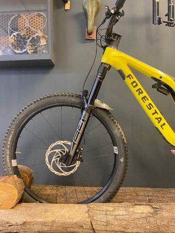 Used Forestal Siryon 2025 Mountainbike, Black — image 3 of 10