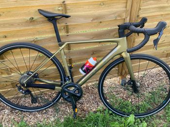 Superior, X-road Shimano Ultegra