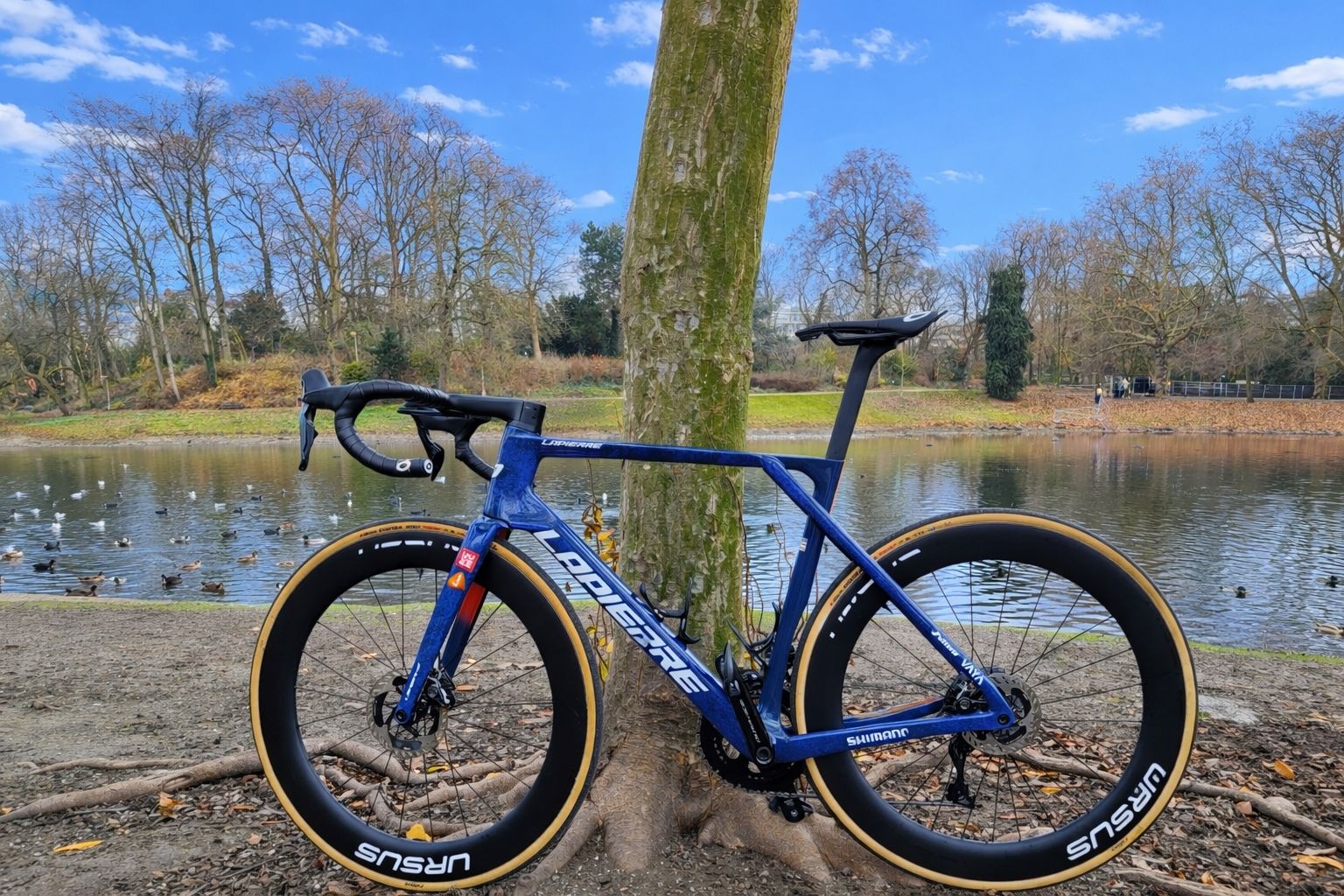 Lapierre Xelius DRS 10.0 PicNic PostNL2025 2025