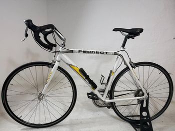 Peugeot, Peugeot Professional