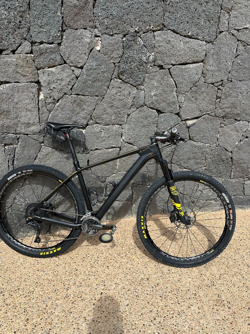 Gebrauchtes Radon Jealous 7.0 2019 2019 MTB