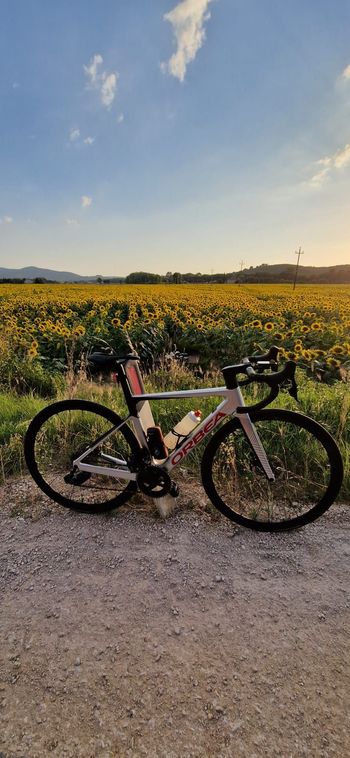 Used Orbea ORCA M31eLTD PWR 2022 2022 Road & Gravel, Light Gray — image 1 of 8