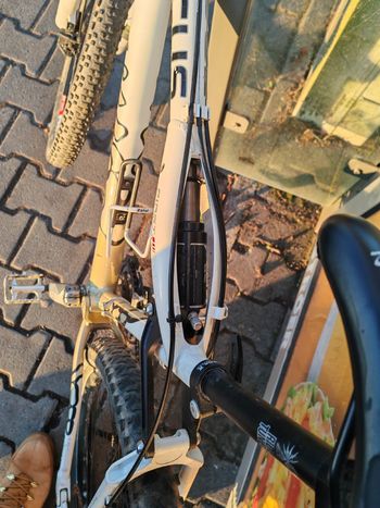 Used Focus First Expert 2012 Mountainbike — image 10 of 10