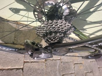 Used Raymon Race Ray 2023 Road & Gravel, Grün — image 4 of 7