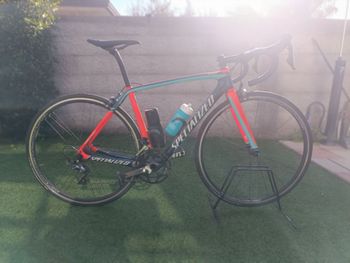 Used Specialized Tarmac Shimano Ultegra 2016 Route & Gravel