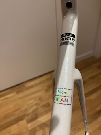 Used ICAN A9 2024 Road & Gravel, White — image 10 of 16