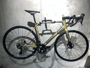 Superior, X-road Team Issue Se