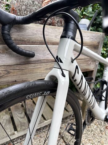 Brugt Canyon Endurace CF SL 7 eTAP 2022 2022 Road & Gravel