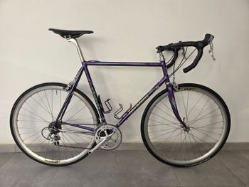 Eddy Merckx, Arcobaleno