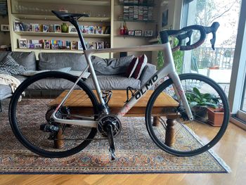 Olmo, GEPIN 4.0