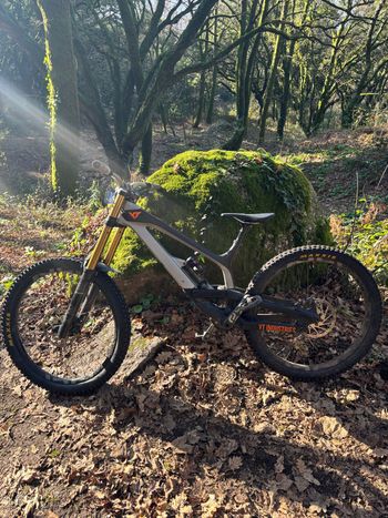 YT Industries, TUES 29 CF Pro Race 2019