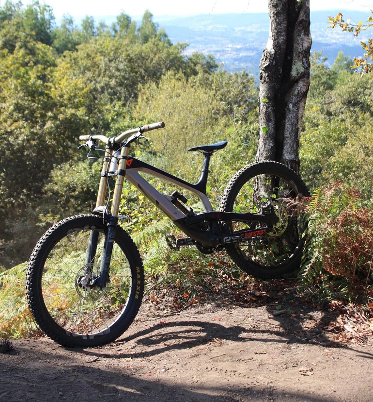 YT Industries TUES 29 CF Pro Race 2019 2019