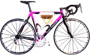 Pinarello, Prince - Team Telekom - Cadel Evans