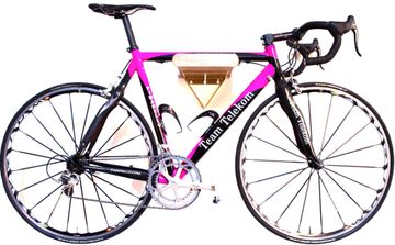 Pinarello Prince - Team Telekom - Cadel Evans 2004 Road & Gravel de segunda mano