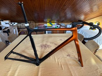 Giant, TCR Advanced Pro Disc 0 Ultegra Di2 2022 Frameset