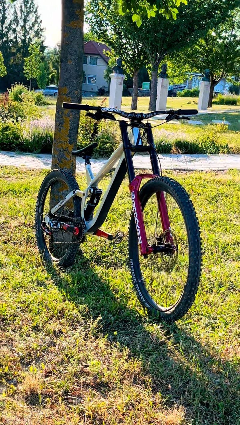 Used Rose Scrub DC 3 2025 2025 MTB