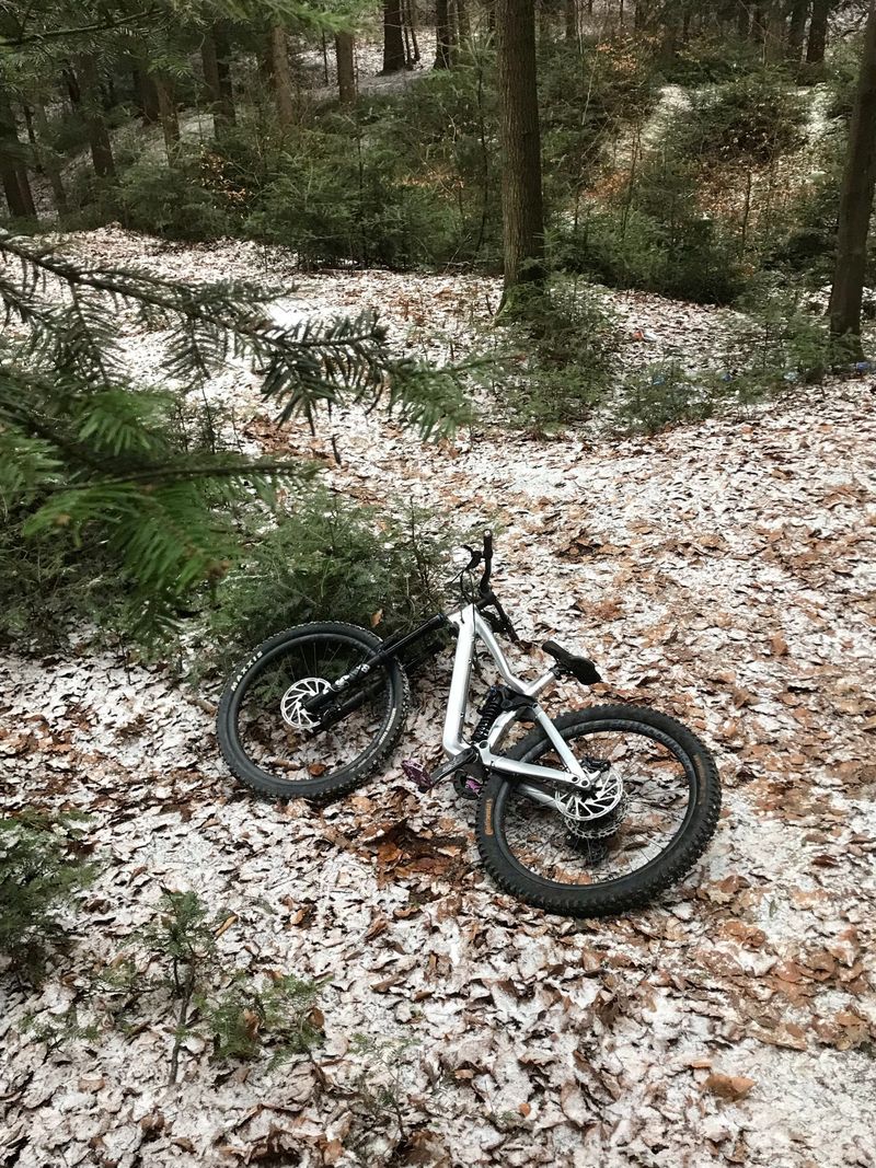 Used Dartmoor Thudebird 2023 MTB
