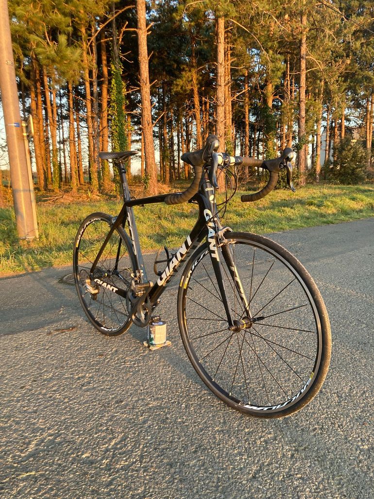 Acheter la selle Giant Romero | Selles de sport