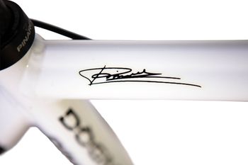 Used Pinarello Pinarello Dogma AK61 Magnesium 2004 Road & Gravel — image 4 of 5