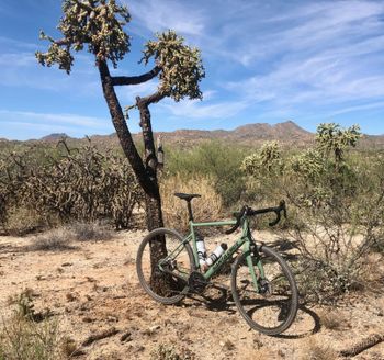 Used Santa Cruz Stigmata GRX / Carbon CC / 700c 2020 2020 Road & Gravel, Green — image 2 of 13