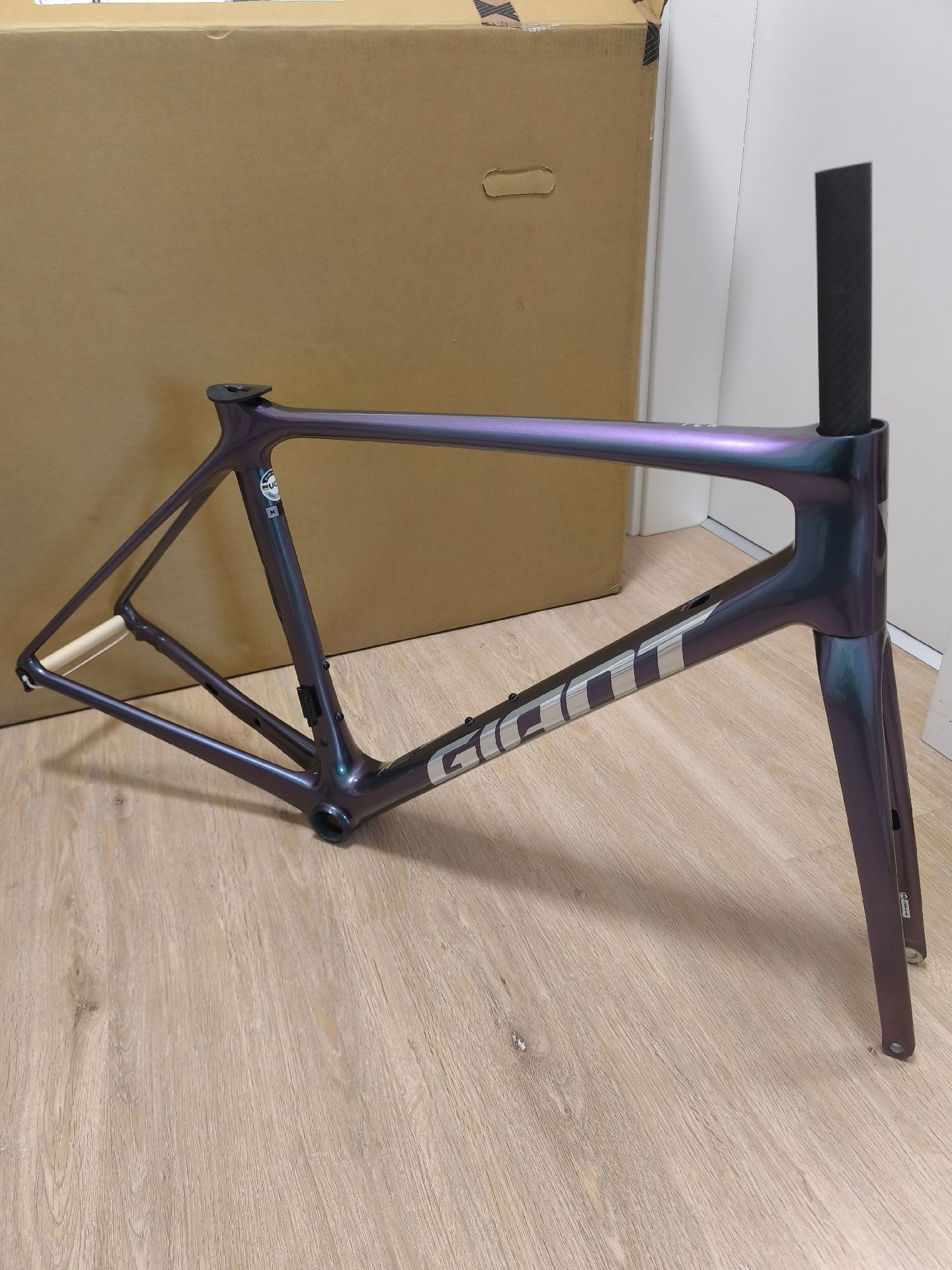 Giant TCR Advanced Pro Disc 0 AXS 2024 Frameset 2024