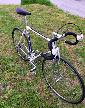 Used Paletti Paletti 1978 Road & Gravel, White — image 16 of 18