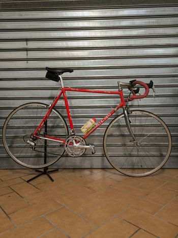 Olmo, Olmo Racing