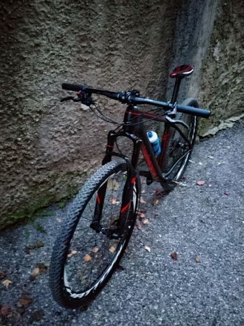 Used BULLS Xc1 2024 MTB