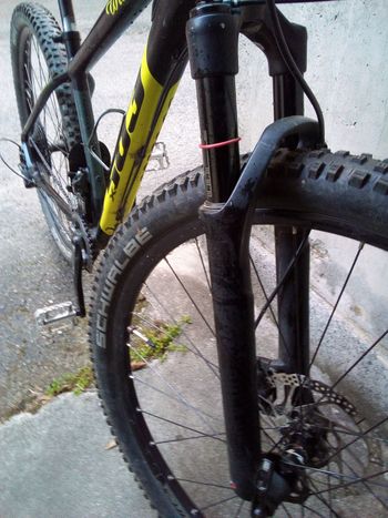 Used Wilier Wilier 503 TG S 2019 Mountainbike, Black, 29 — image 9 of 16