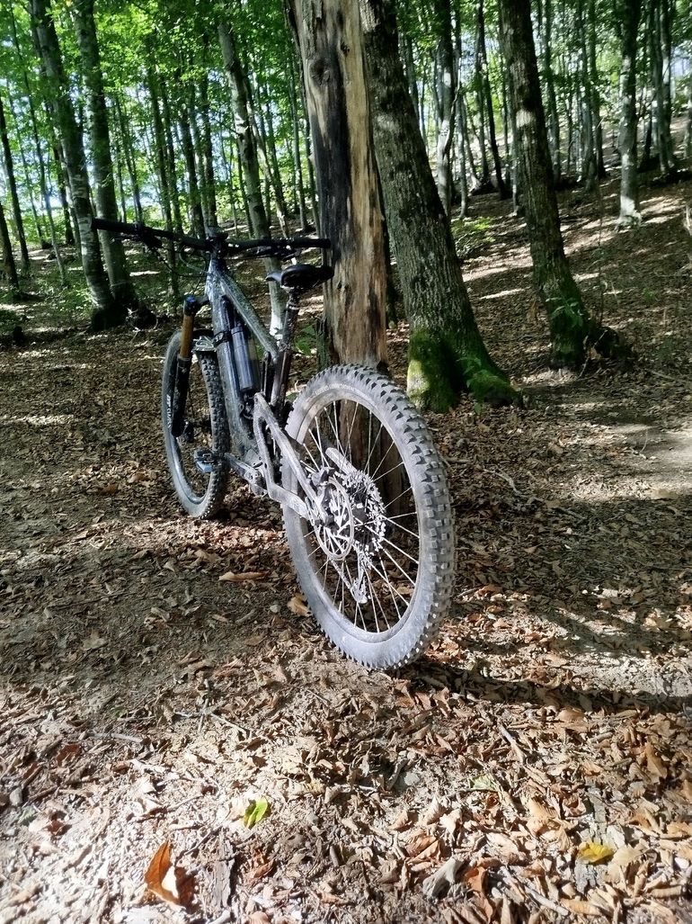 Used Santa Cruz Heckler S / Carbon CC / MX 2021 2021 Mountainbike, Black, 29, 27.5 — image 3 of 7