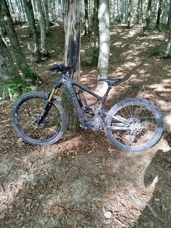 Used Santa Cruz Heckler S / Carbon CC / MX 2021 2021 Mountainbike, Black, 29, 27.5 — image 5 of 7