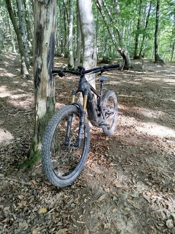 Used Santa Cruz Heckler S / Carbon CC / MX 2021 2021 Mountainbike, Black, 29, 27.5 — image 2 of 7