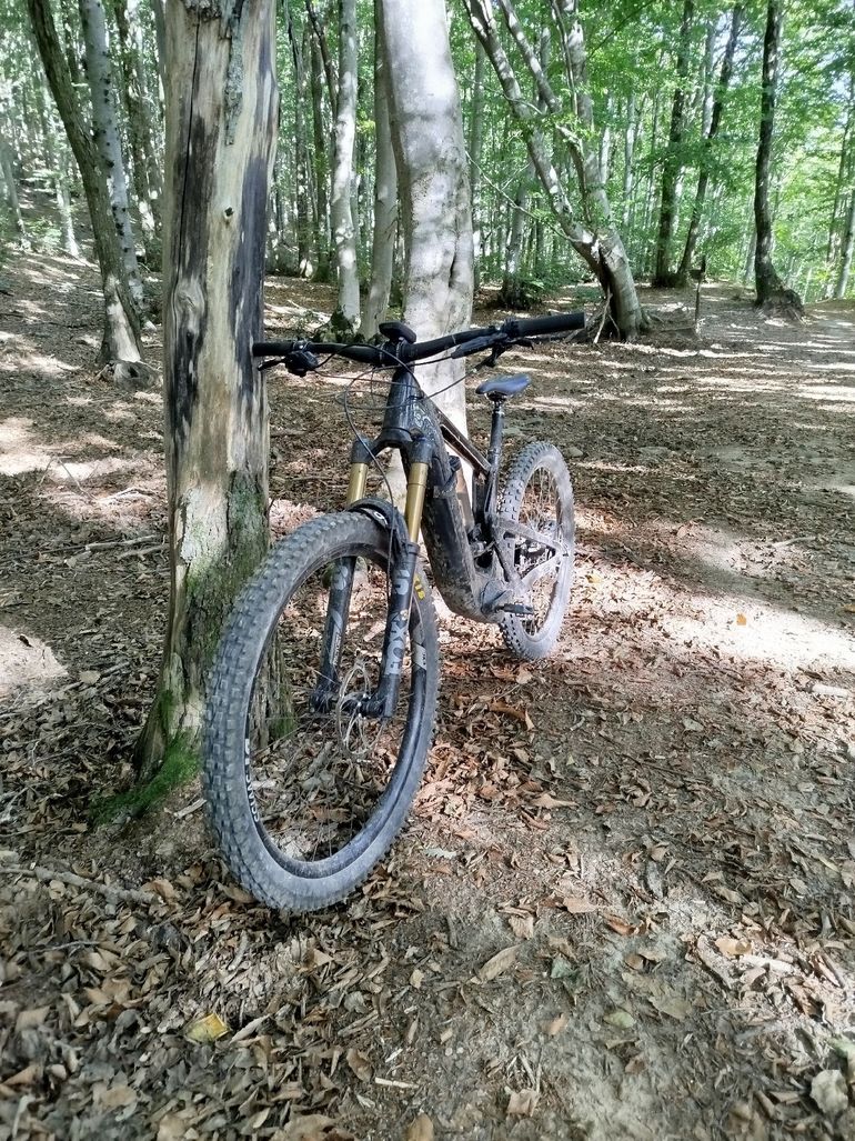 Used Santa Cruz Heckler S / Carbon CC / MX 2021 2021 Mountainbike, Black, 29, 27.5 — image 2 of 7