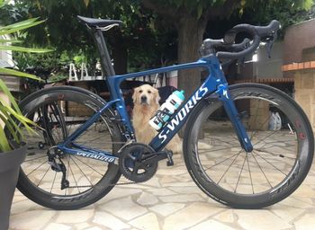 Specialized Venge ViAS Expert Disc Ultegra 2017 2017