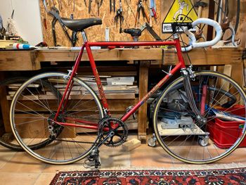 Used Freschi Supreme 1980 Road & Gravel, Red — image 3 of 24