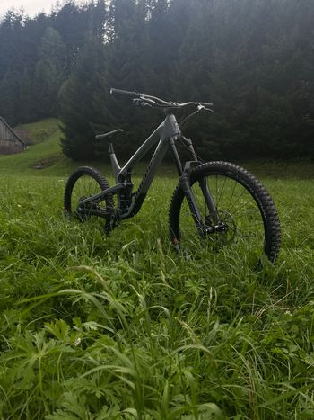 Propain, Spindrift CF4 2024