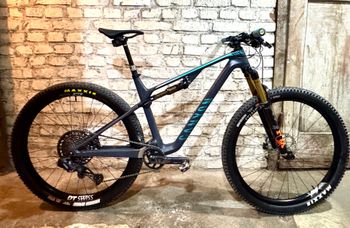 Canyon, Lux Trail CF 8 2022