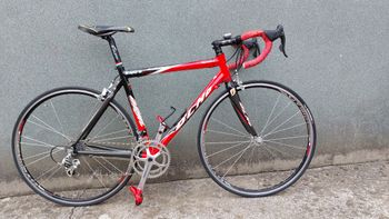 Olmo, Dynamic