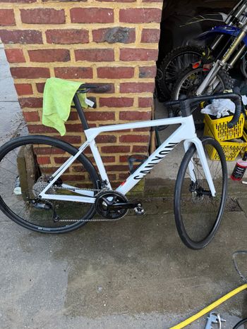 Canyon, Ultimate CF 7 2026