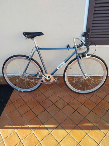 Custom, Extra+ Audace