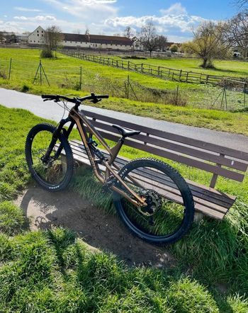 Radon, Radon Swoop 10 Carbon
