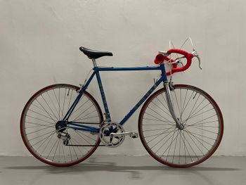 Orbea, Sierra Nevada