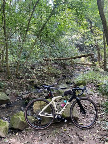 Used Canyon Grail CF SL 7 AXS 2024 2024 Road & Gravel, Schwarz — image 6 of 27