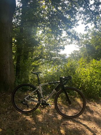 Used Canyon Grail CF SL 7 AXS 2024 2024 Road & Gravel, Schwarz — image 3 of 27