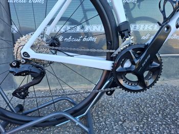 Used Colnago V3 Shimano 105 2024 Road & Gravel, White — image 3 of 4