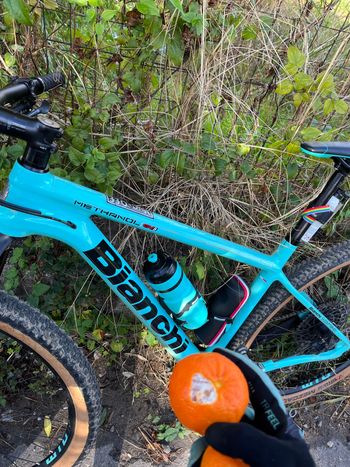Used Bianchi Methanol CV S 9.1 – GX Eagle 2021 2021 Mountainbike, Black, 29 — image 2 of 10