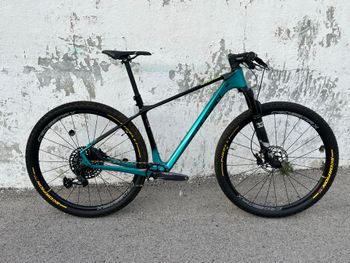 Lee Cougan, Lee Cougan Rampage Custom Built