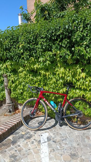 Specialized, Tarmac Shimano Ultegra Di2